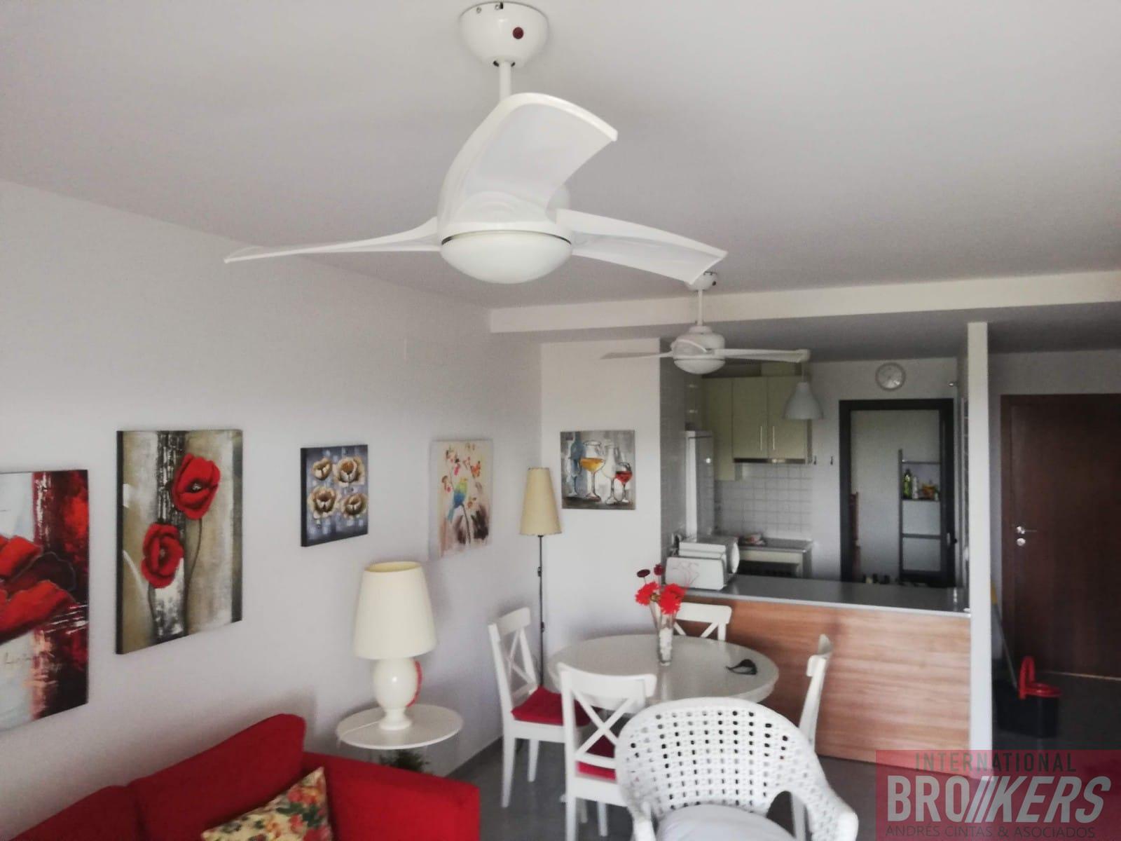 De location de appartement dans Vera