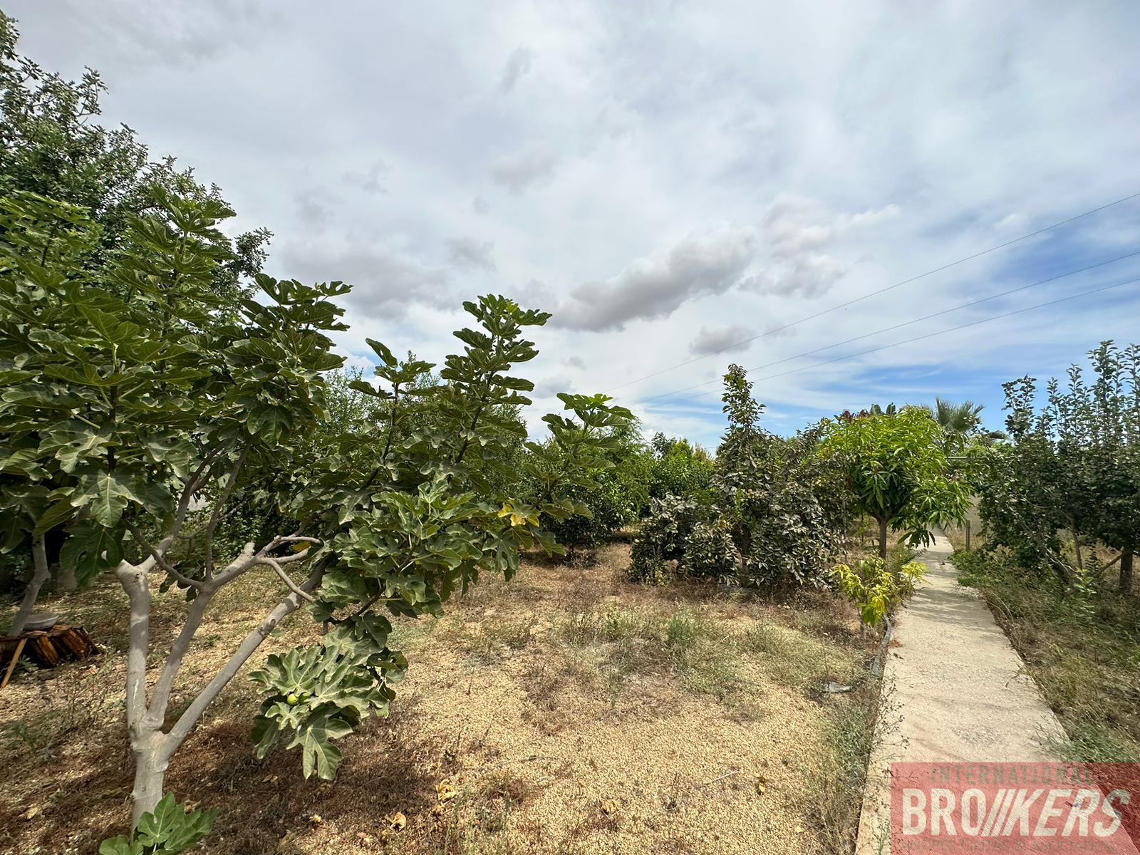 For sale of house in Cuevas del Almanzora