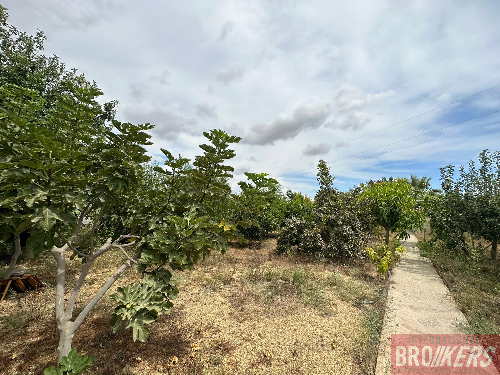 Venta de casa en Cuevas del Almanzora