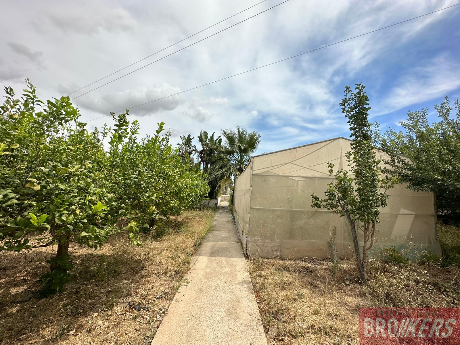 For sale of house in Cuevas del Almanzora