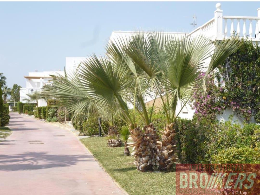 For sale of study in Vera