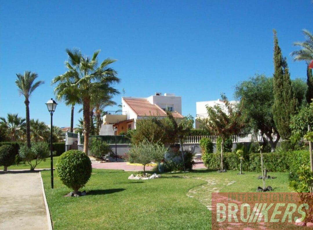 For sale of study in Vera