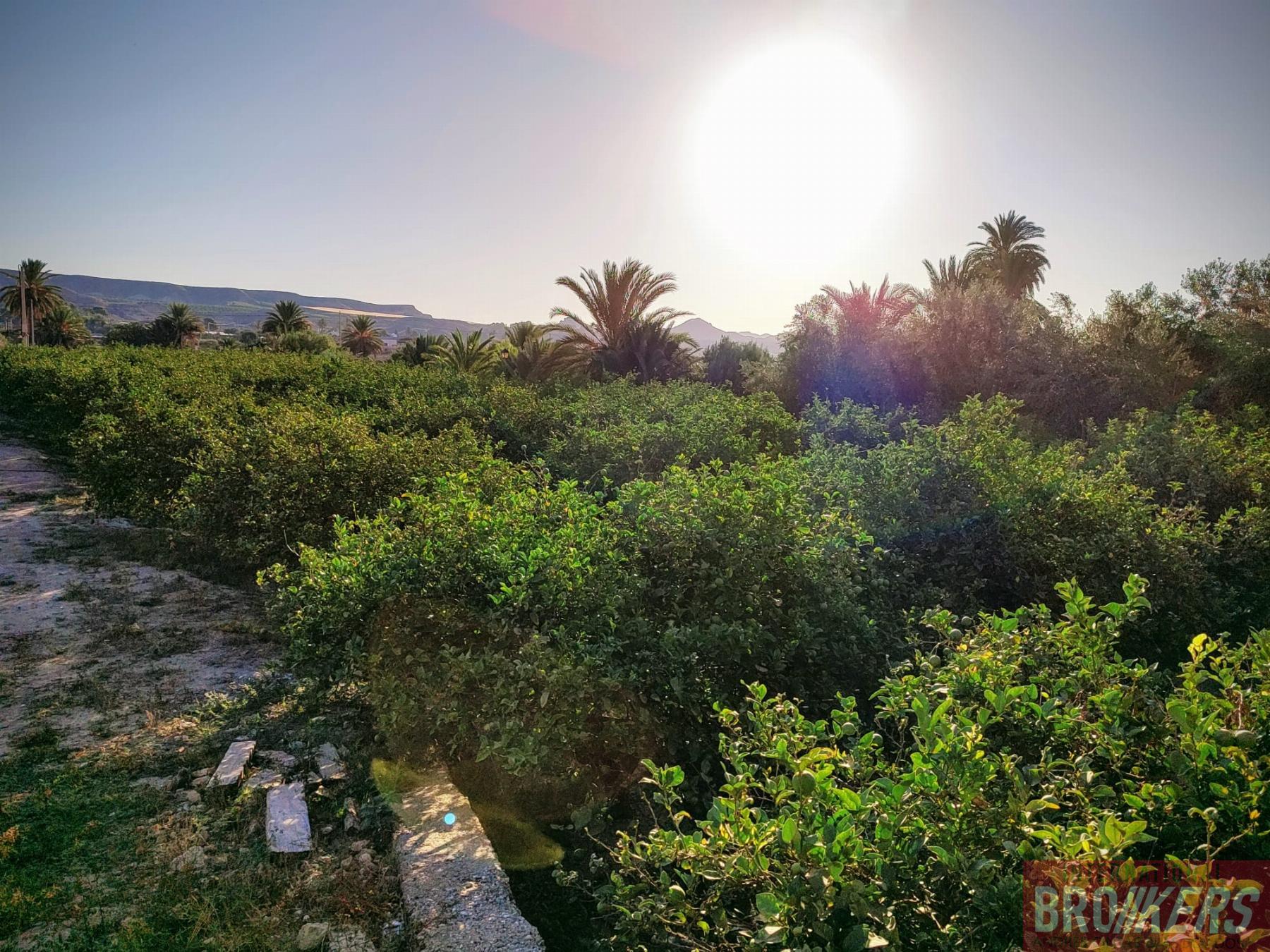 For sale of house in Cuevas del Almanzora