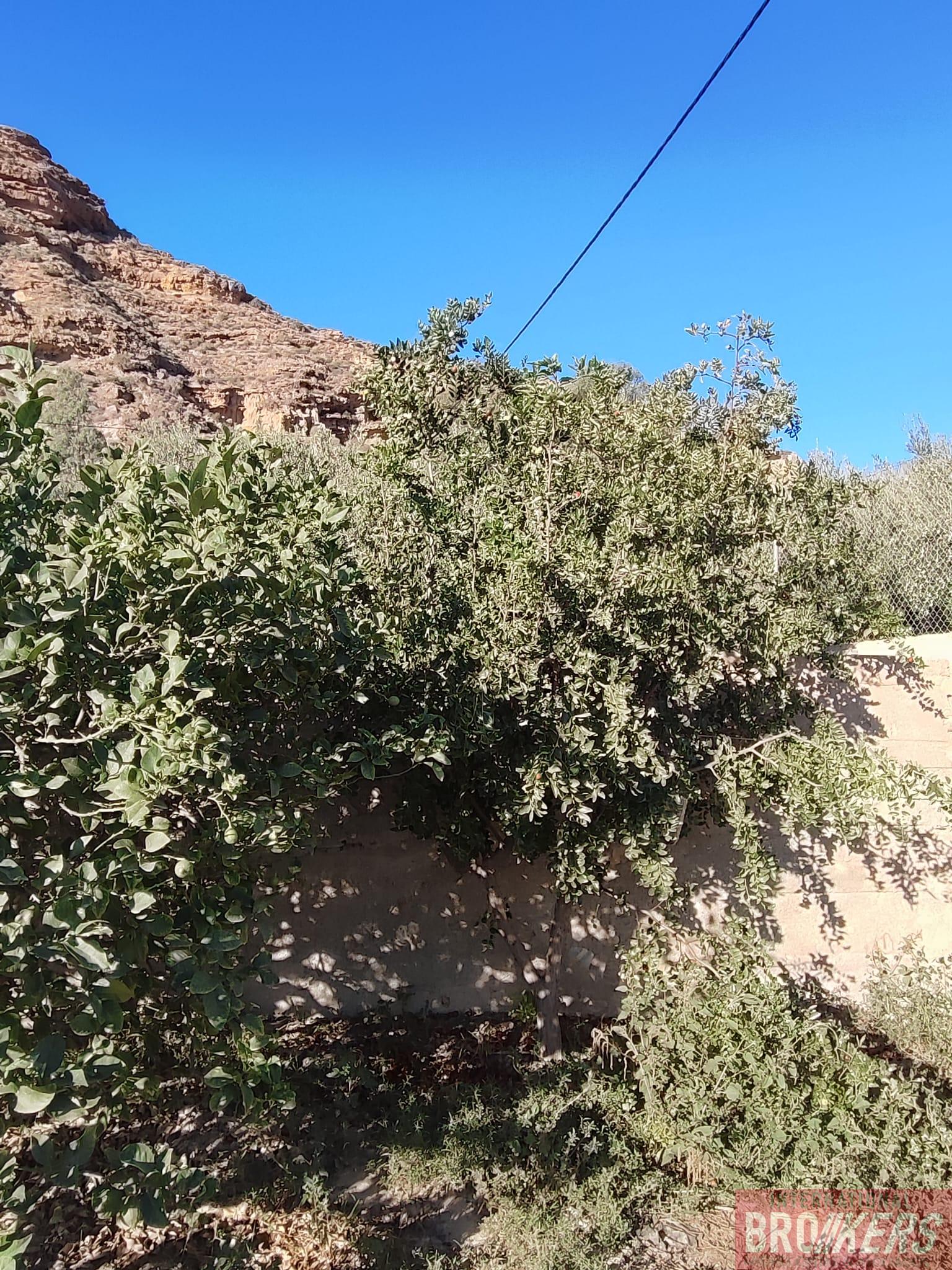 For sale of house in Cuevas del Almanzora