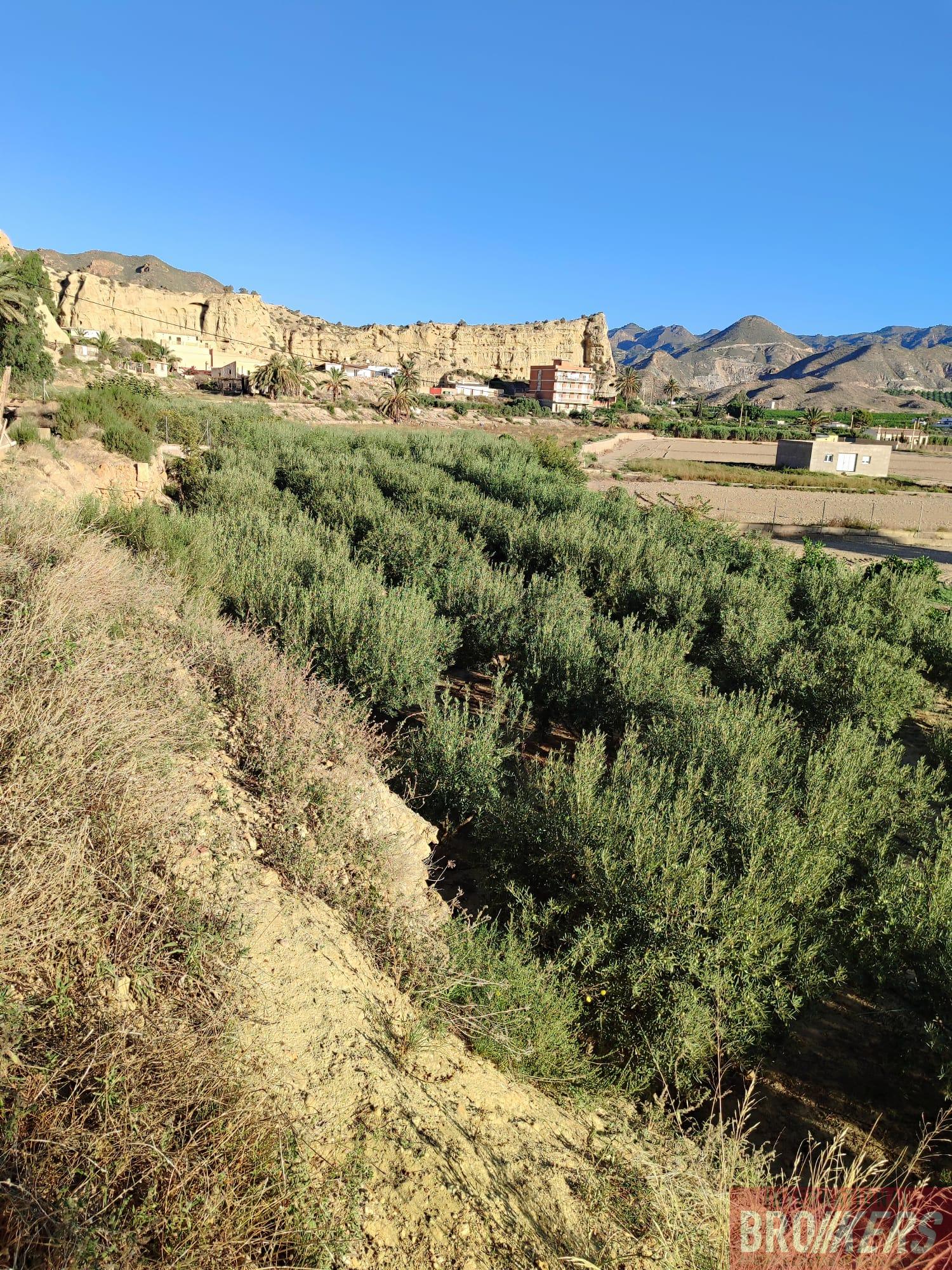 For sale of house in Cuevas del Almanzora