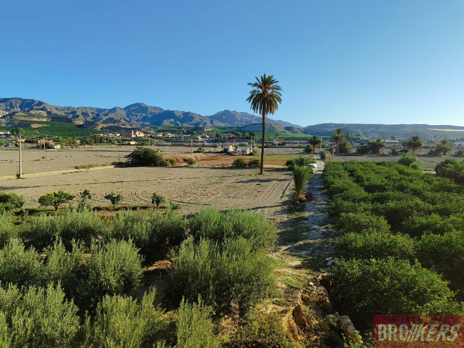 Vente de maison dans Cuevas del Almanzora
