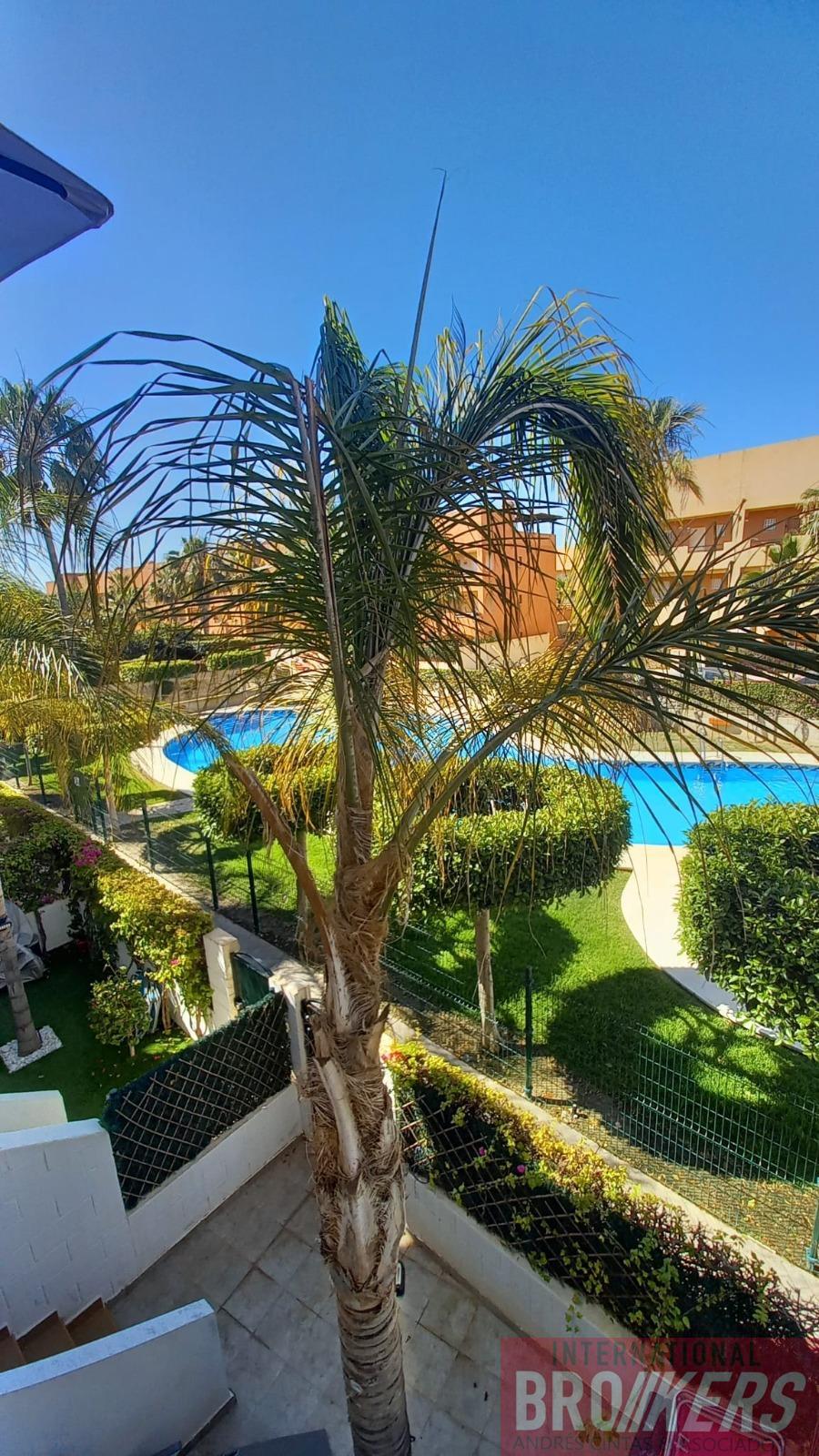 For sale of apartment in Vera