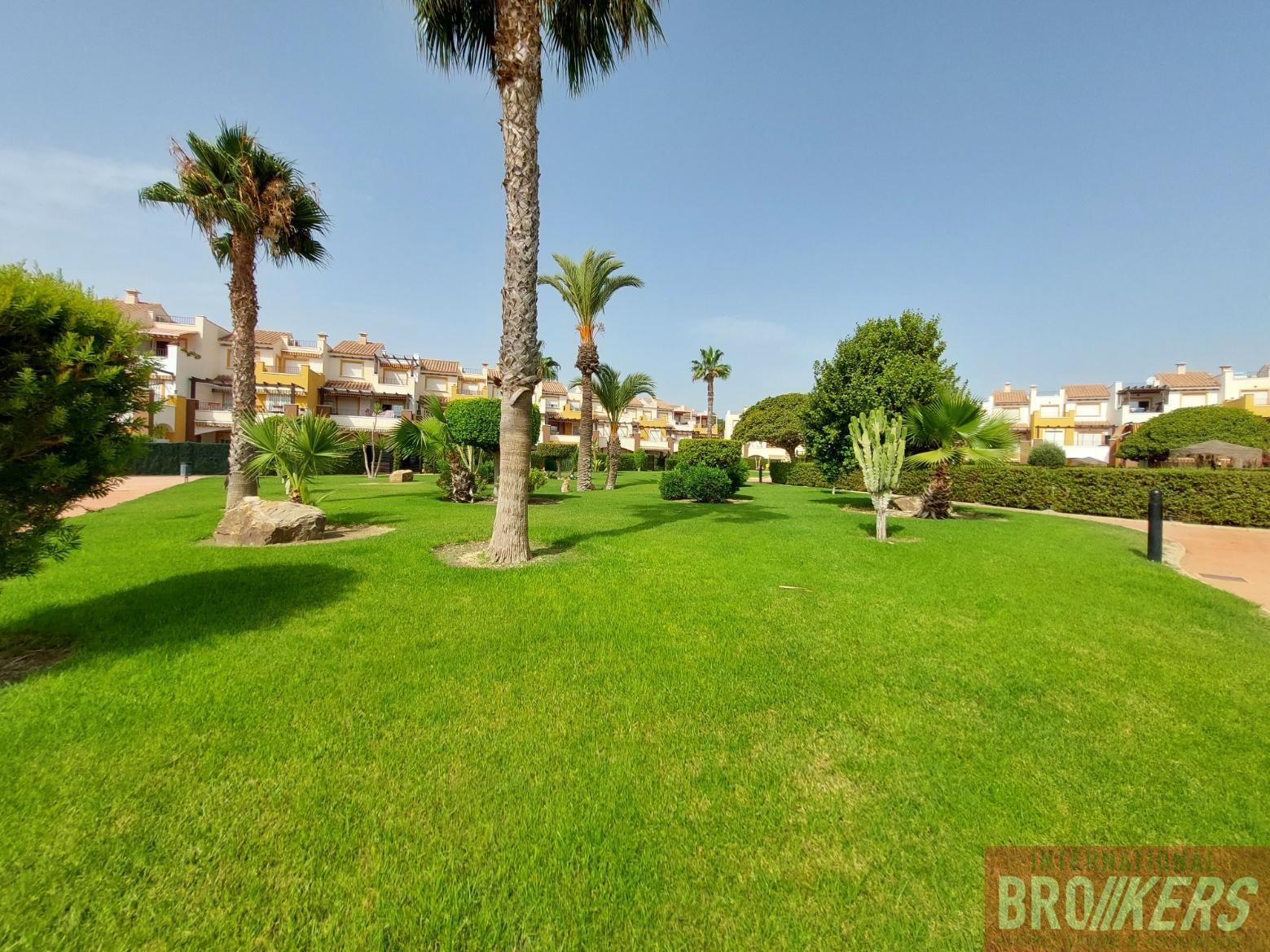 For rent of apartment in Vera