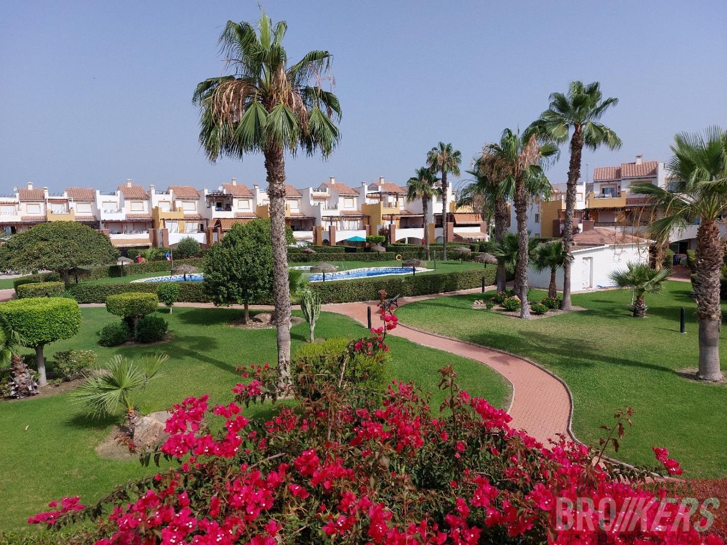 For rent of apartment in Vera