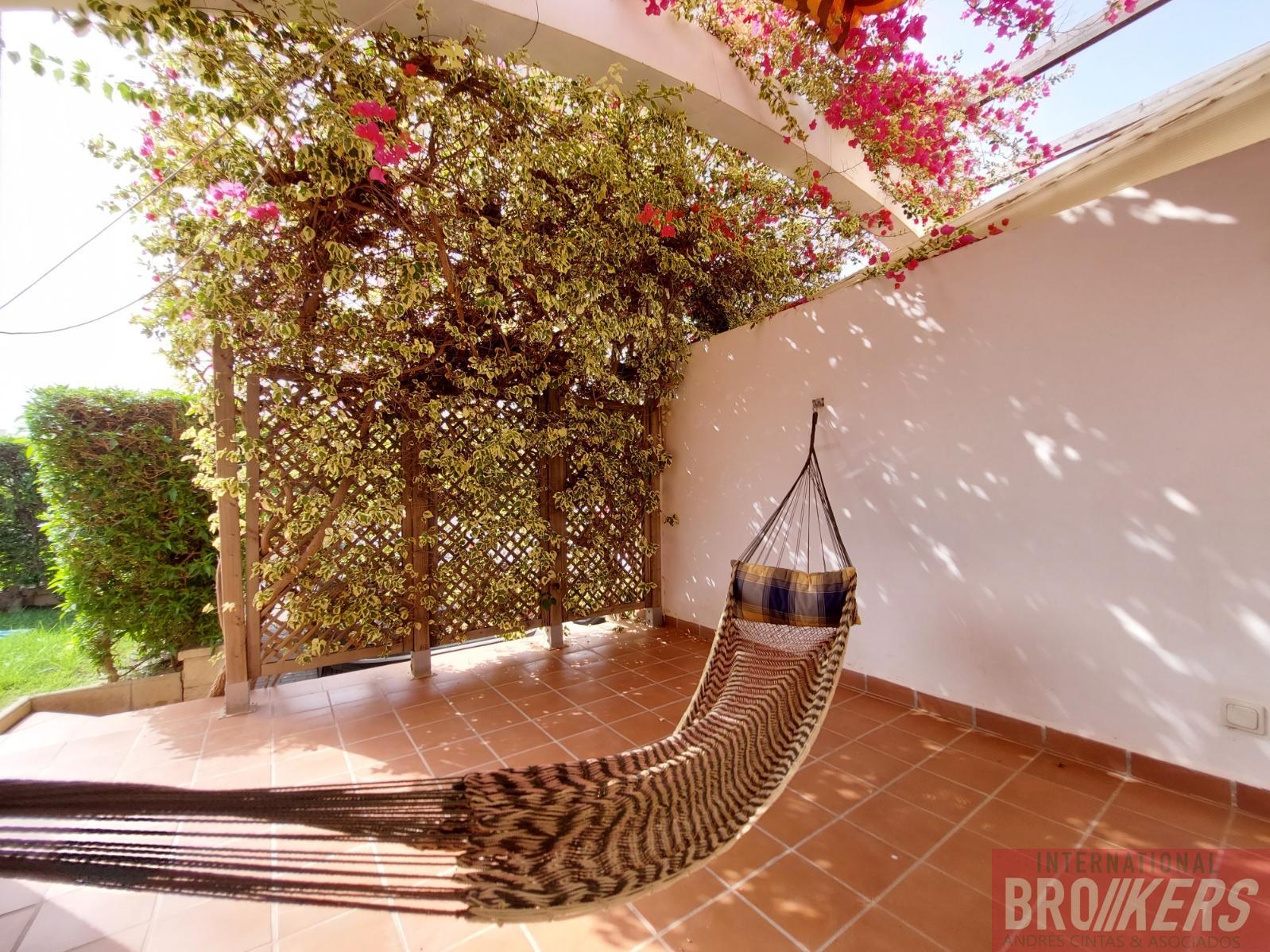 For rent of apartment in Vera