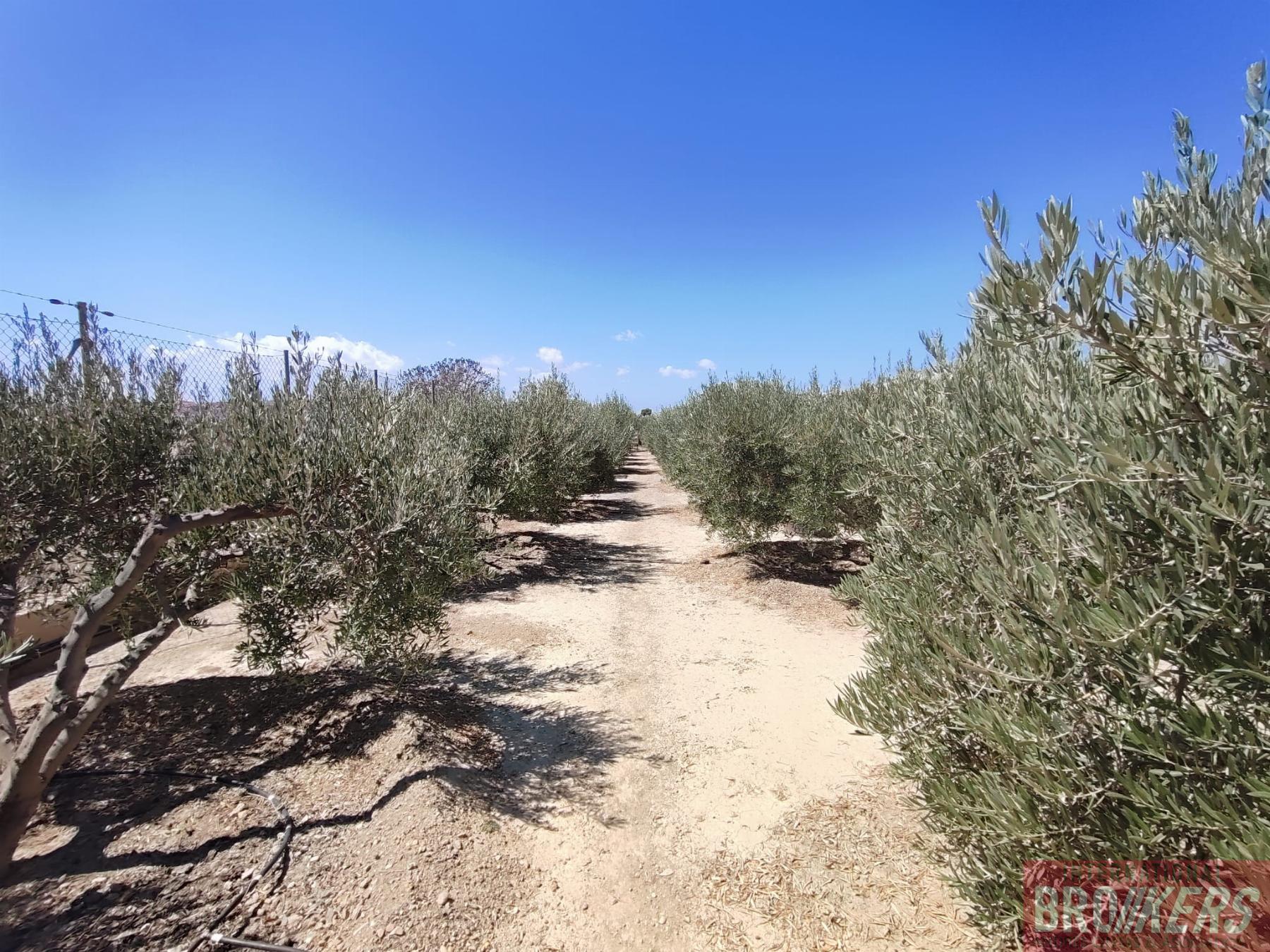 Vente de maison dans Cuevas del Almanzora