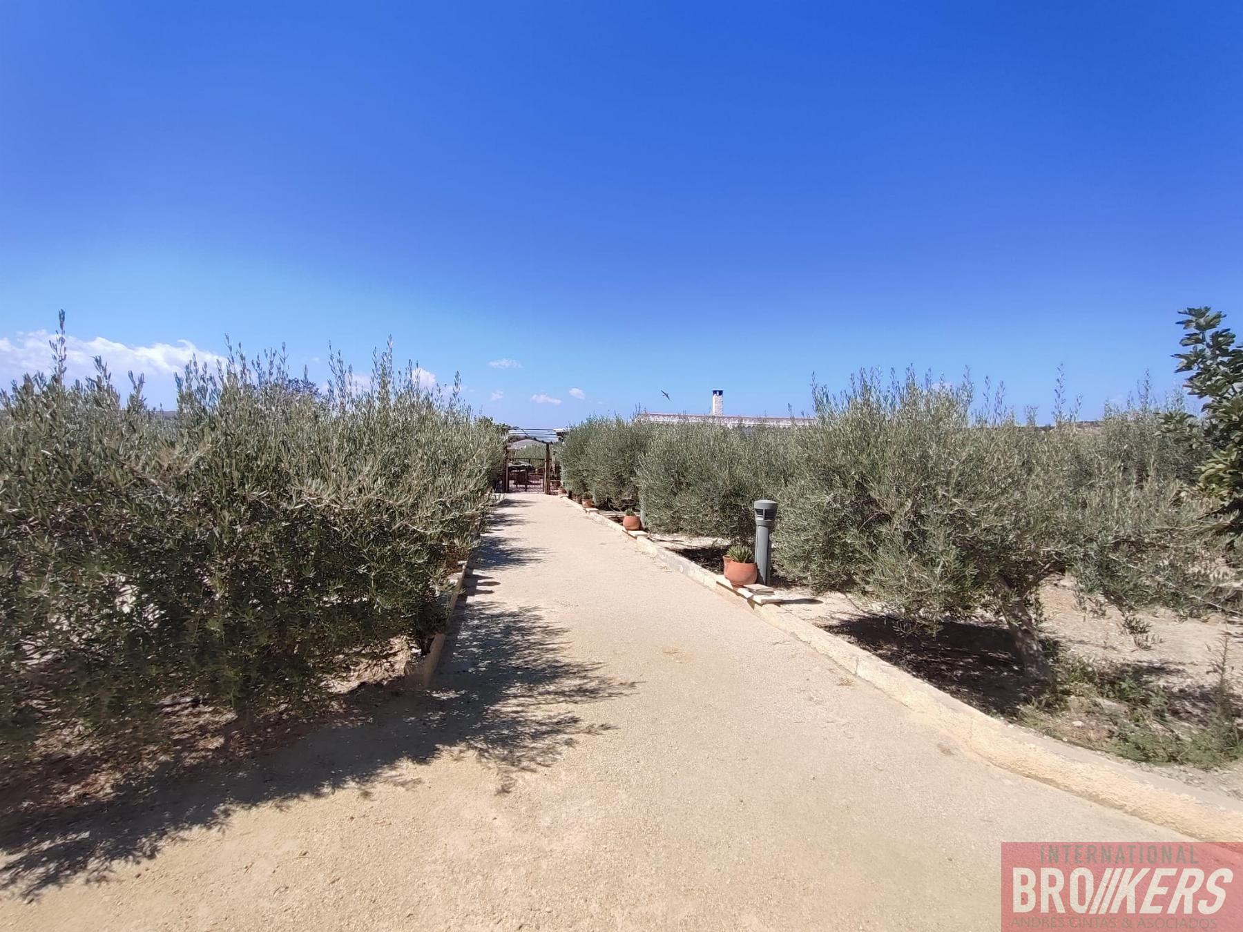 Vente de maison dans Cuevas del Almanzora