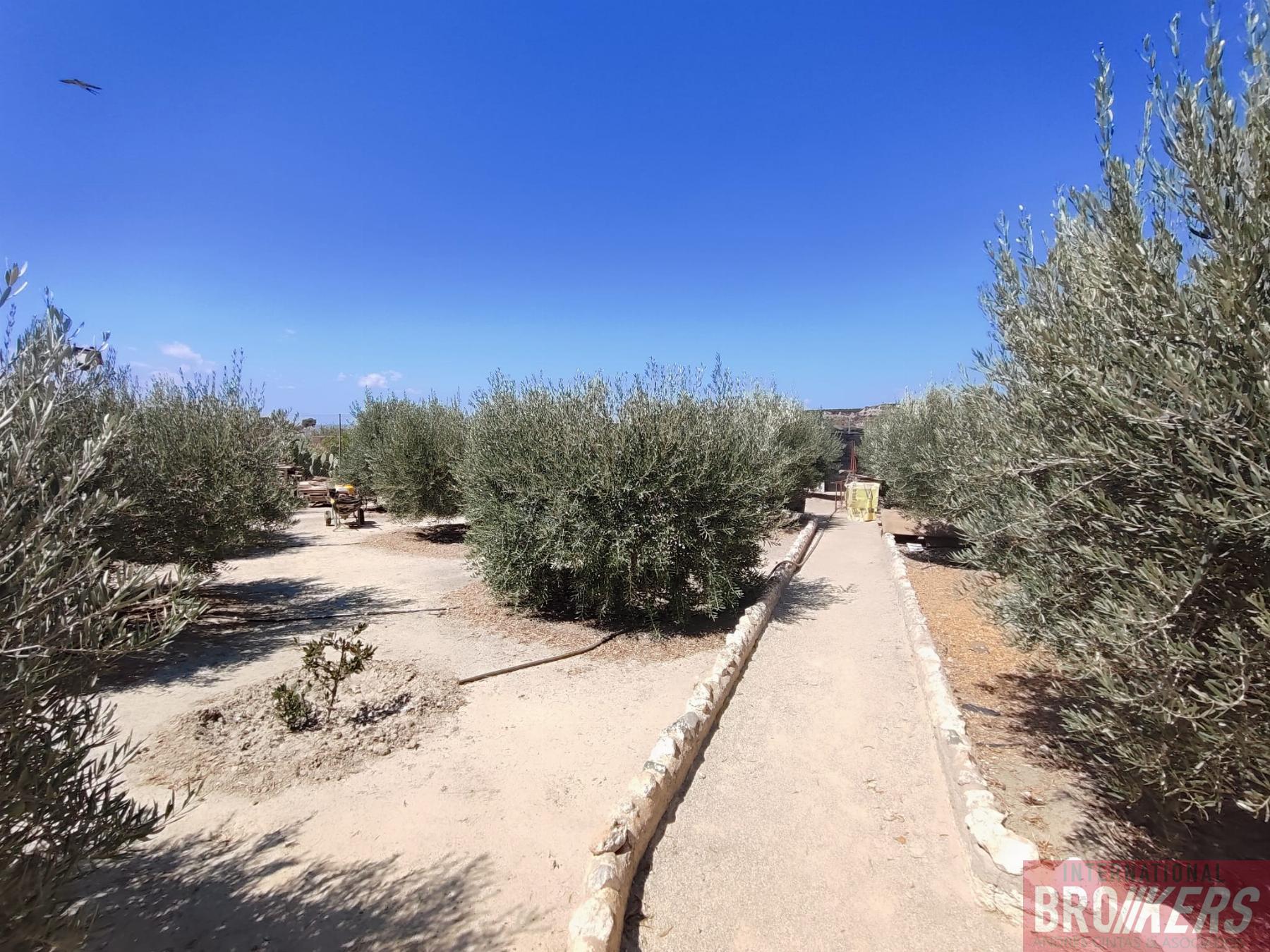 Vente de maison dans Cuevas del Almanzora