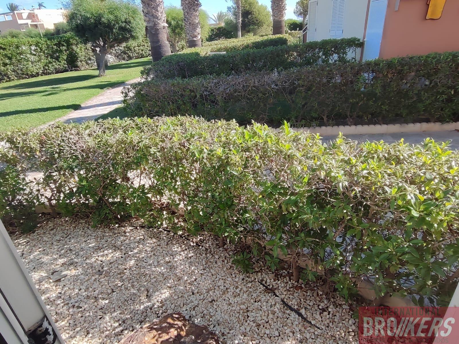 Vente de appartement dans Vera