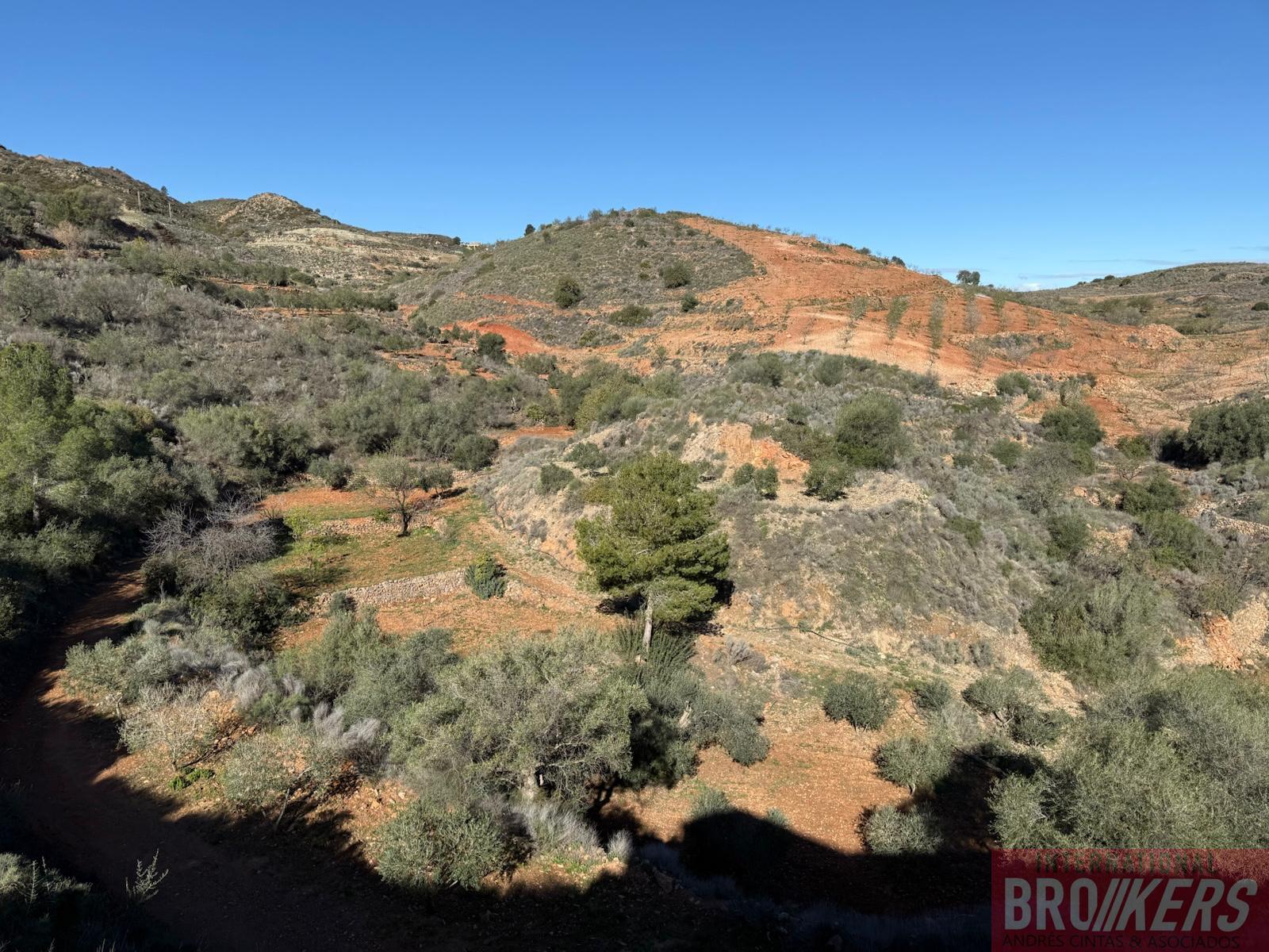 Venta de chalet en Bédar
