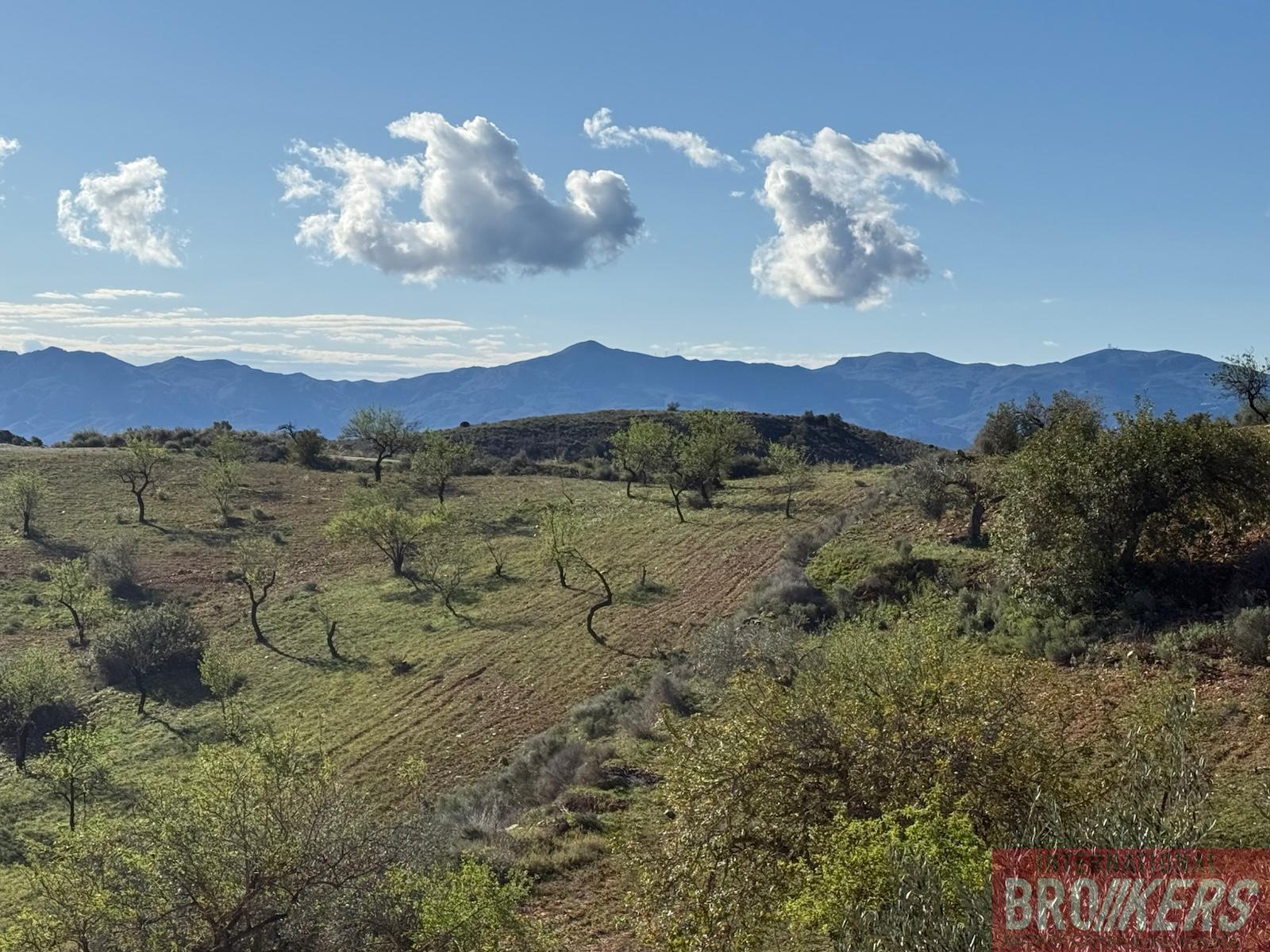 Venta de chalet en Bédar