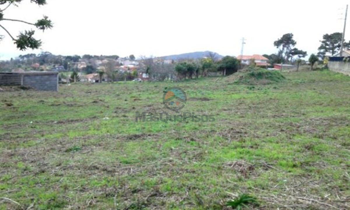 Jardín Jardín
