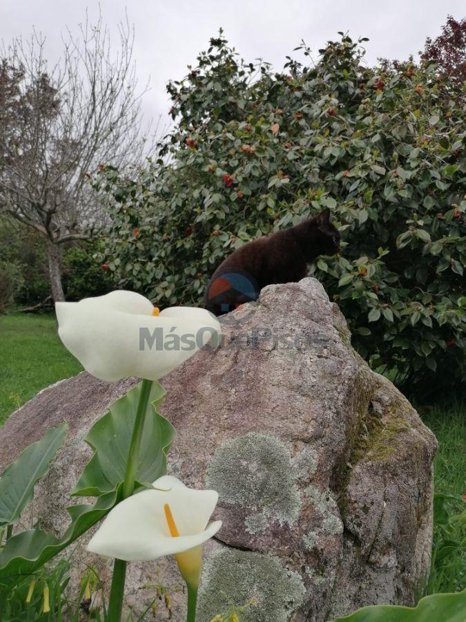 Jardín Jardín