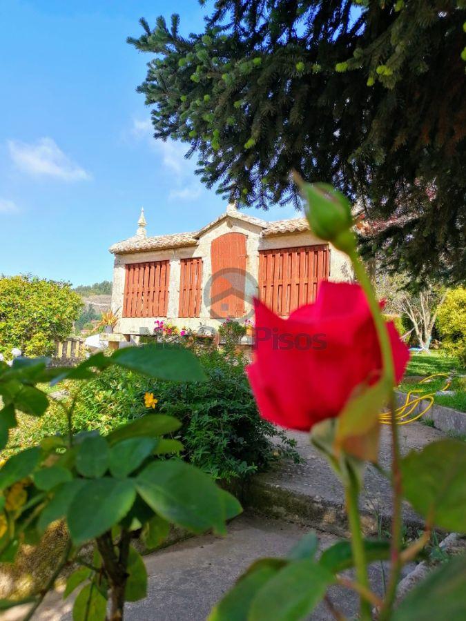 Jardín Jardín