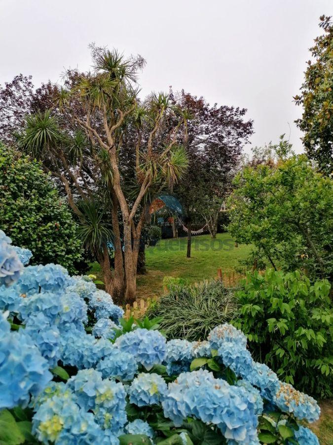 Jardín Jardín