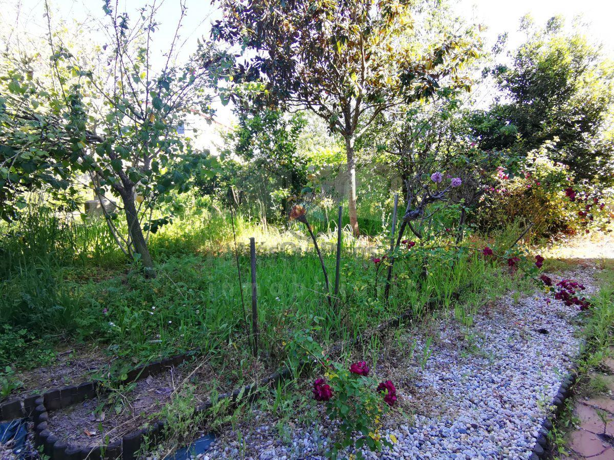 Jardín Jardín