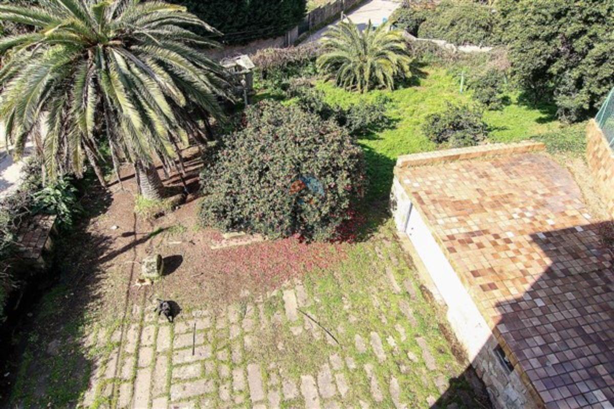 Jardín Jardín