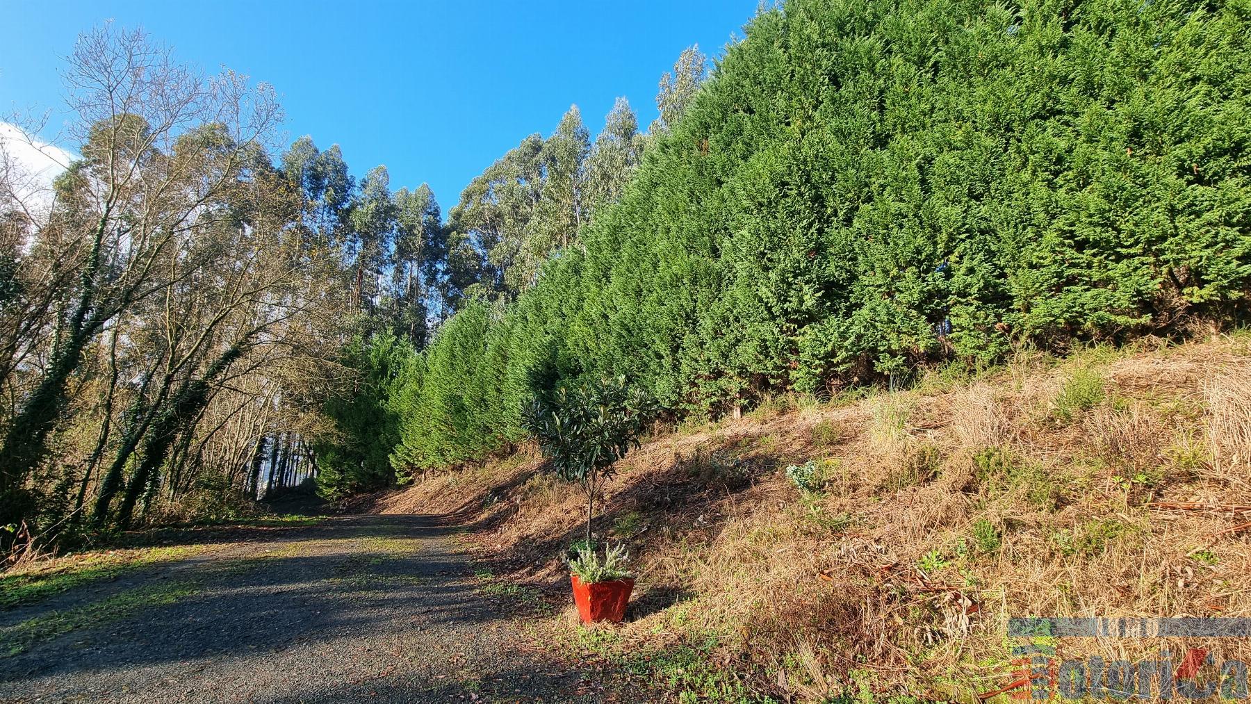 Venta de chalet en Loiu