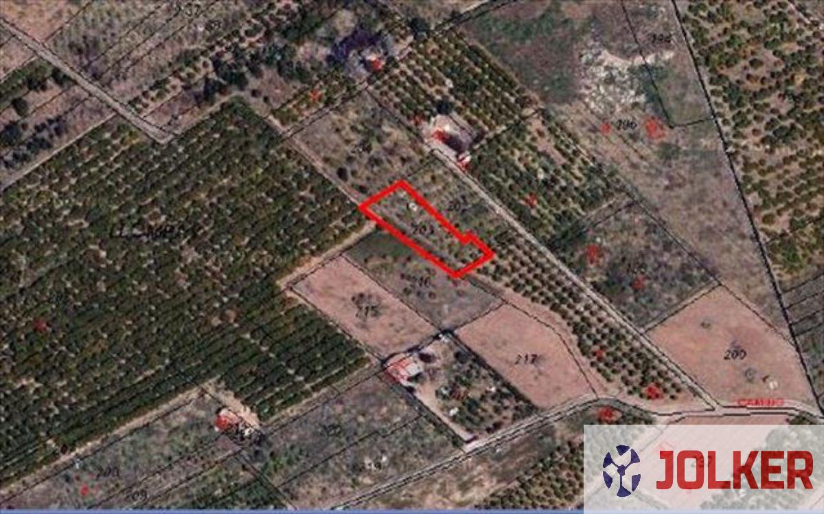 For sale of land in Burriana