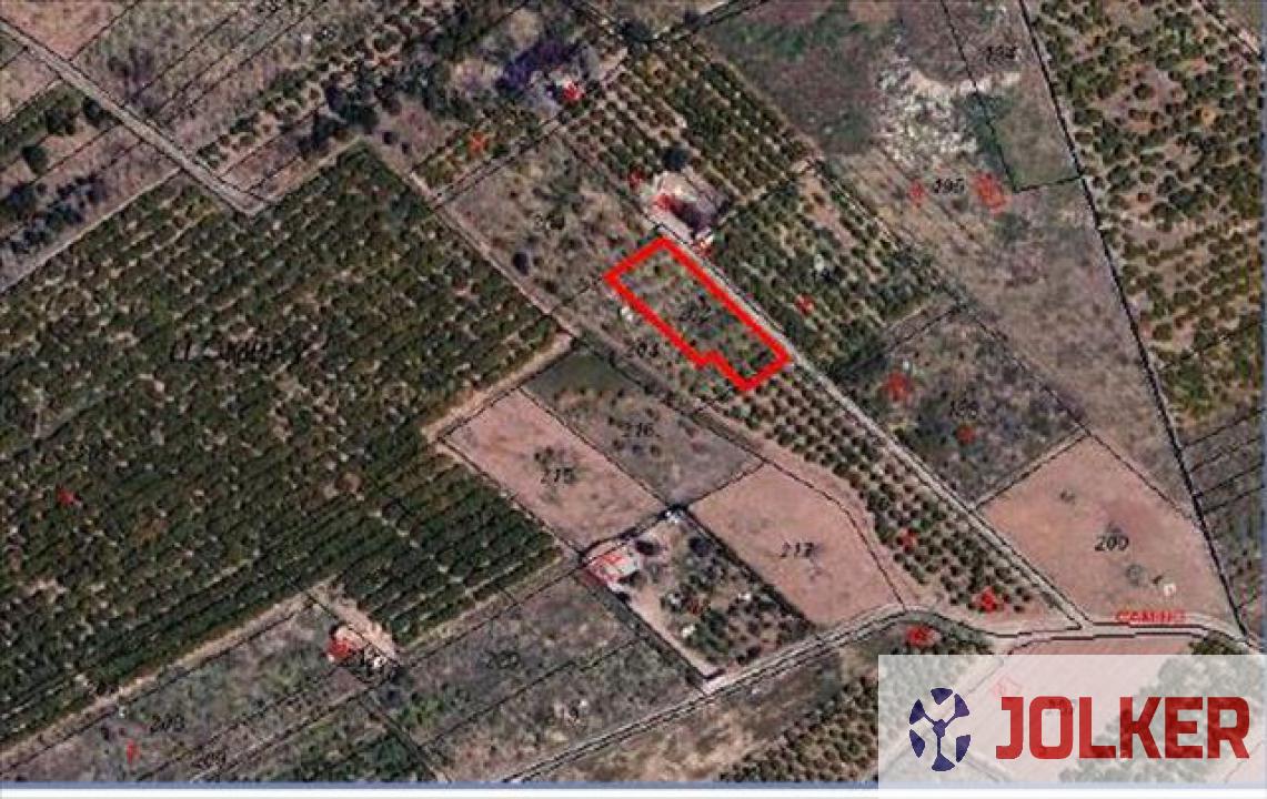 For sale of land in Burriana