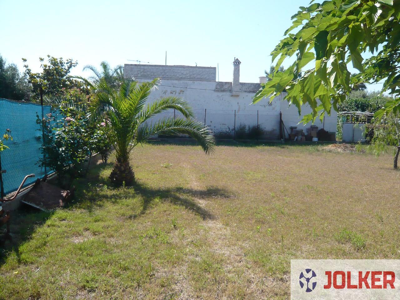 For rent of house in Burriana
