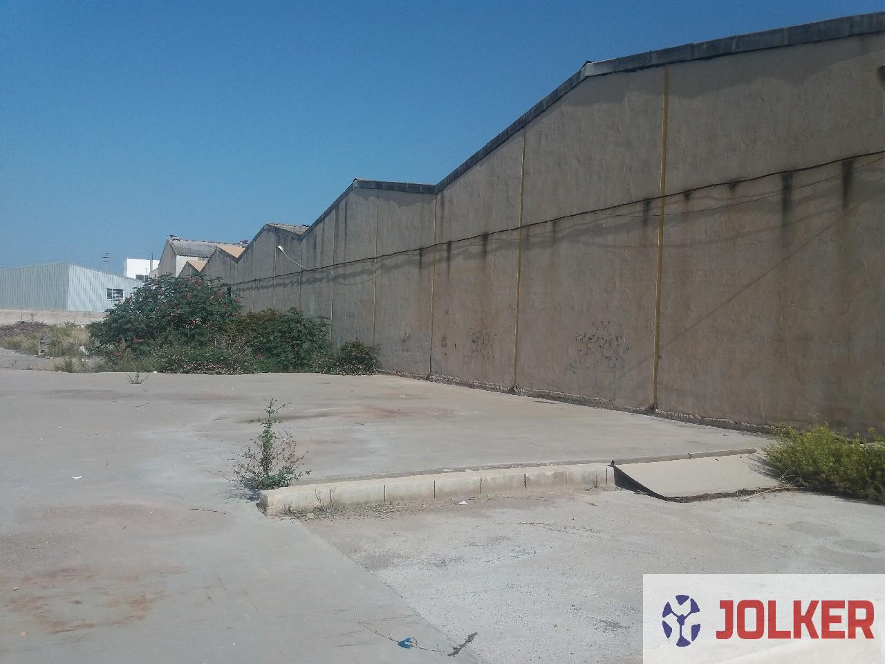 For rent of land in Burriana