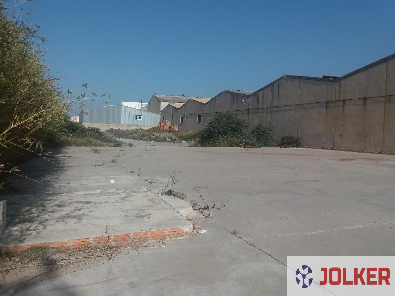 For rent of land in Burriana