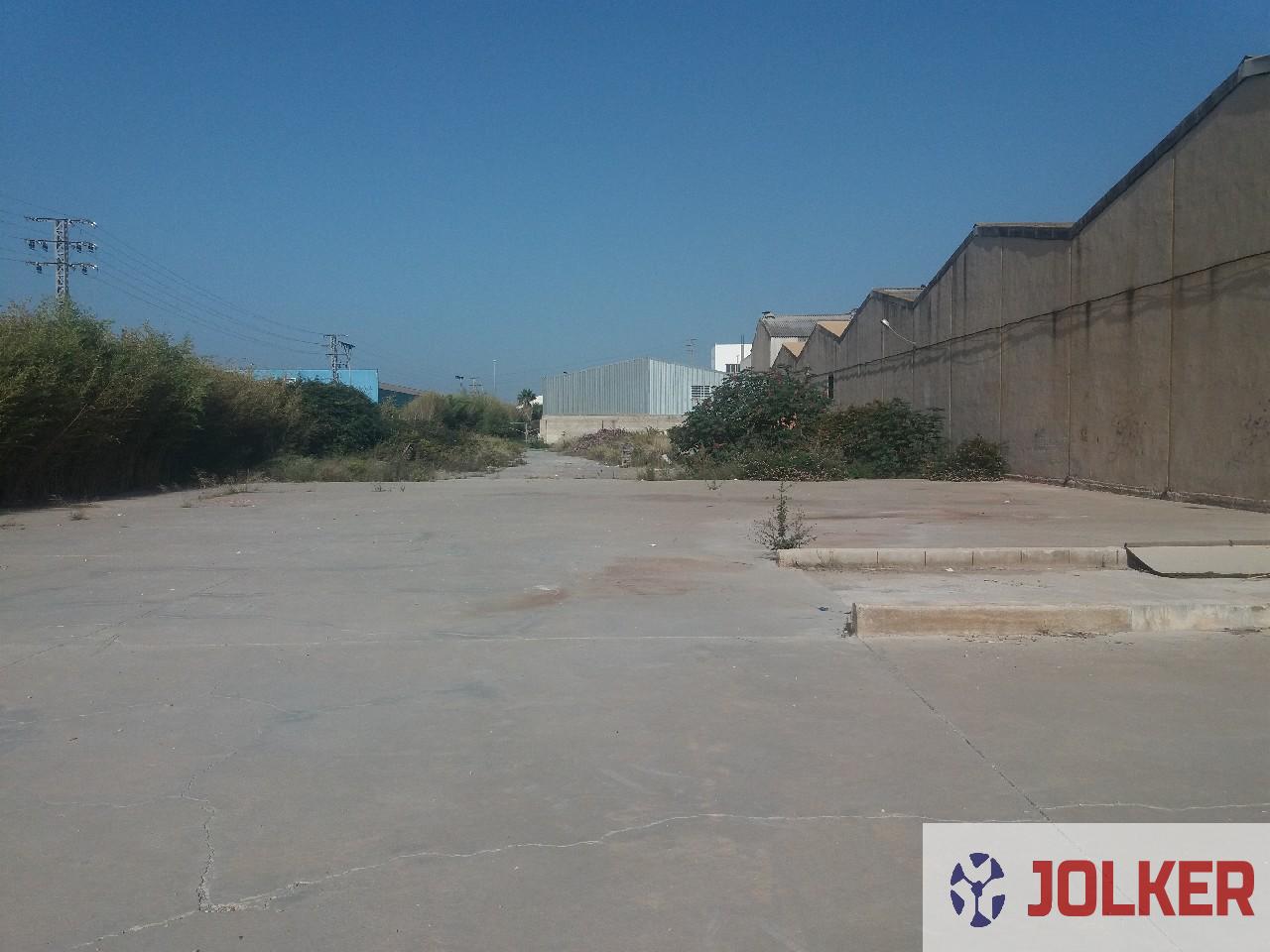 For rent of land in Burriana