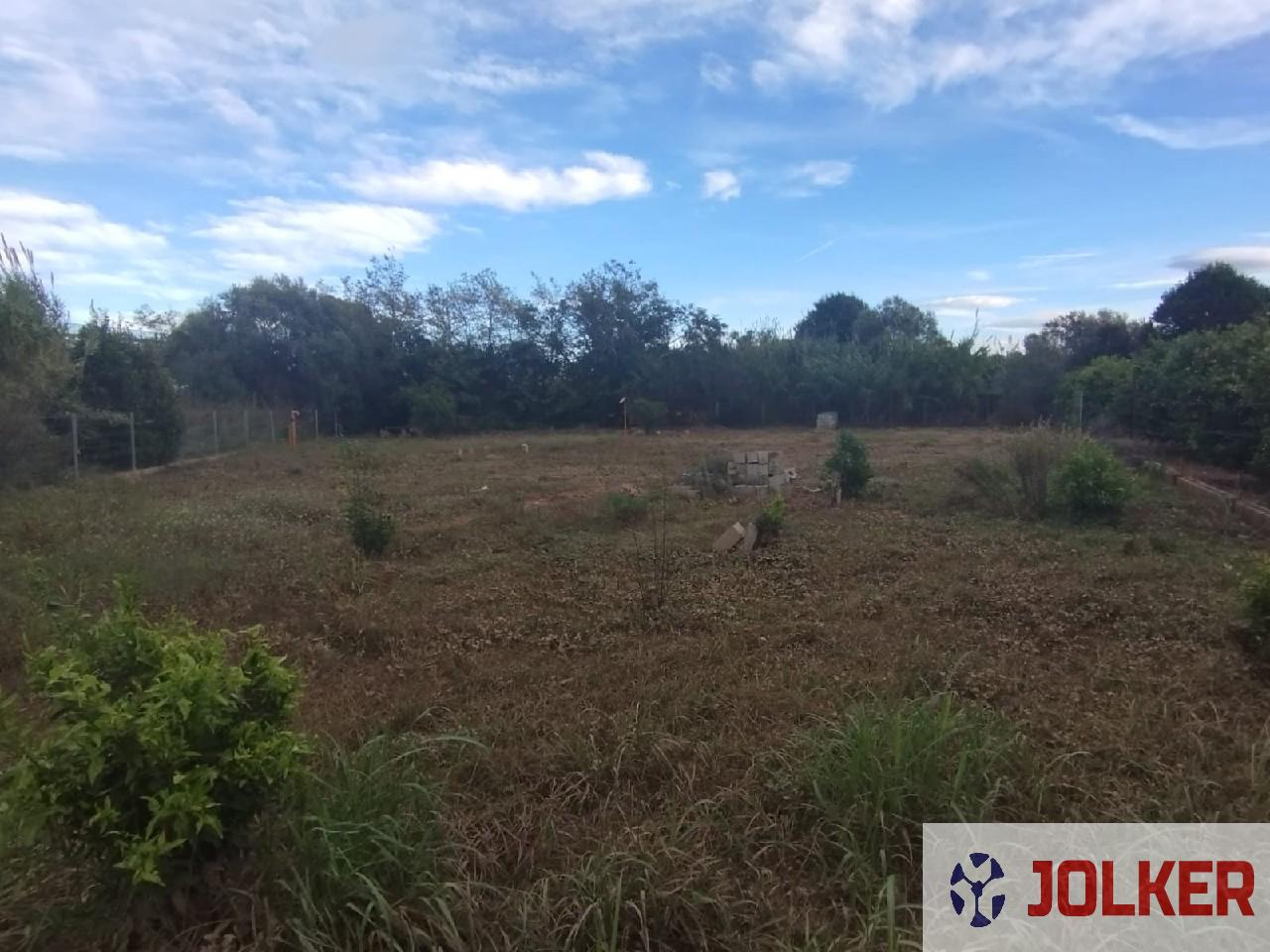 For sale of land in Burriana