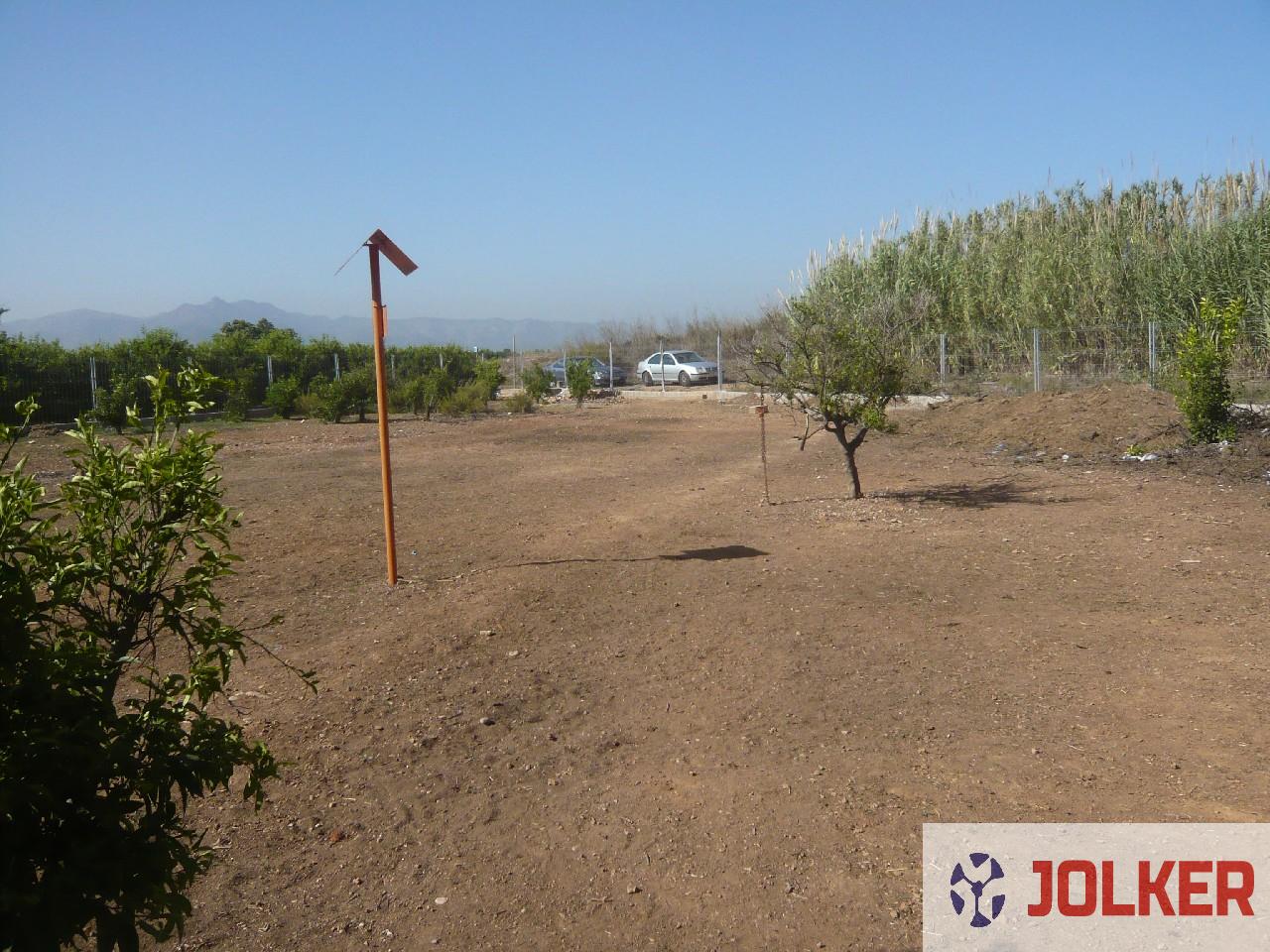 For sale of land in Burriana