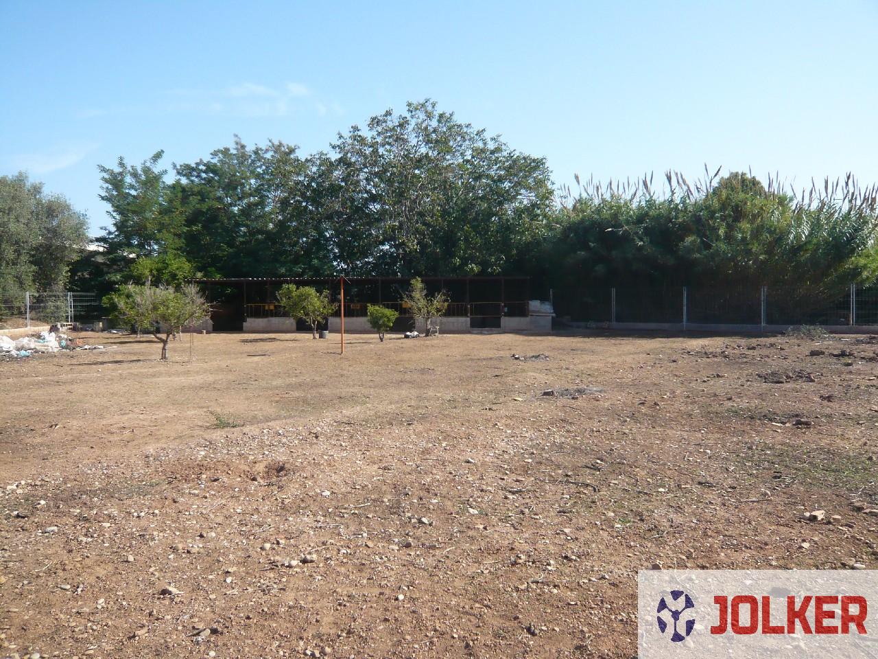 For sale of land in Burriana