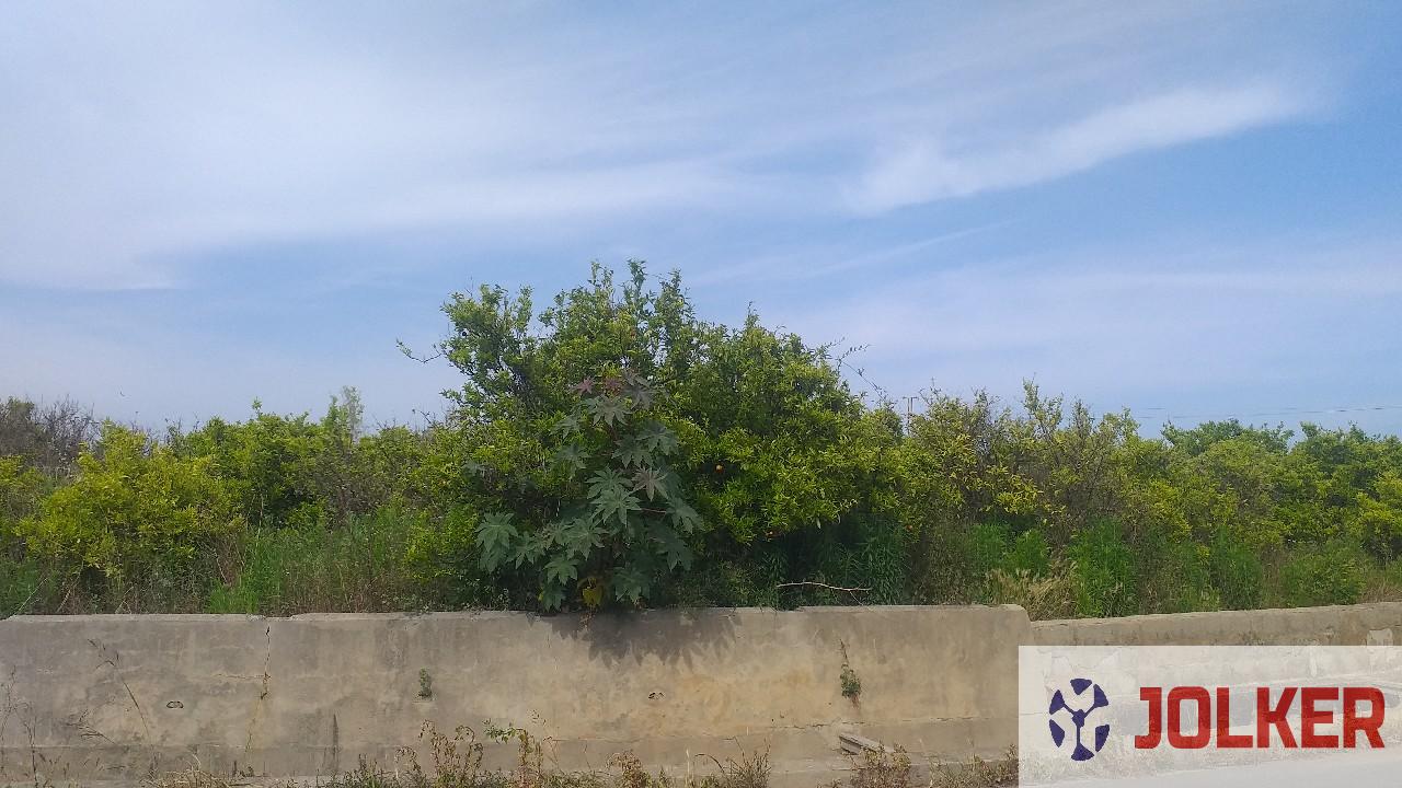 For sale of land in Burriana