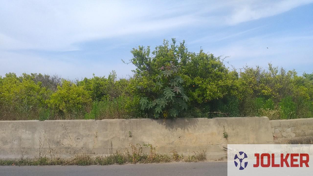 For sale of land in Burriana