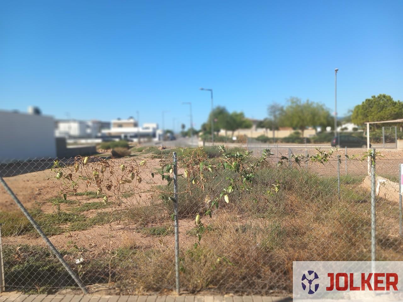 For sale of land in Burriana