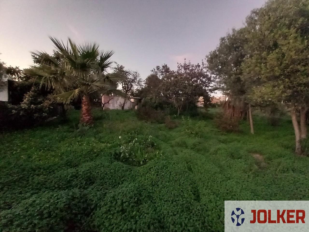 For sale of land in Burriana