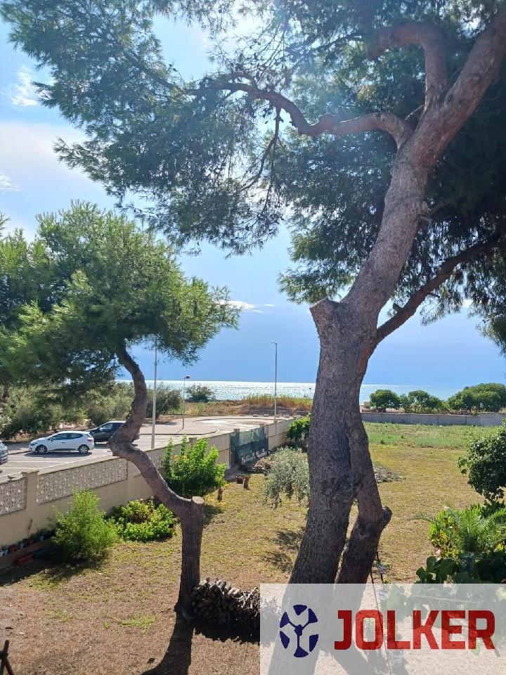 For sale of land in Burriana