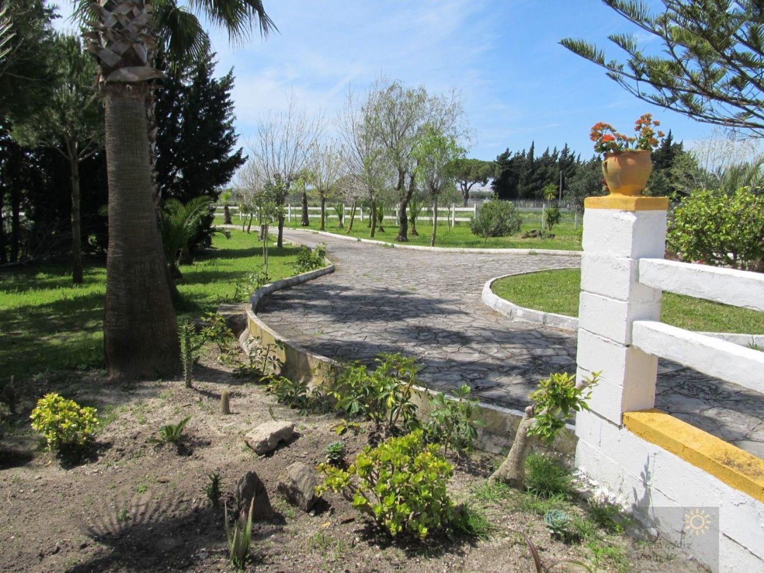 For sale of rural property in Puerto Real