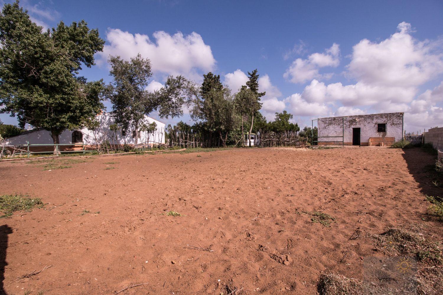 For sale of rural property in Morón de la Frontera