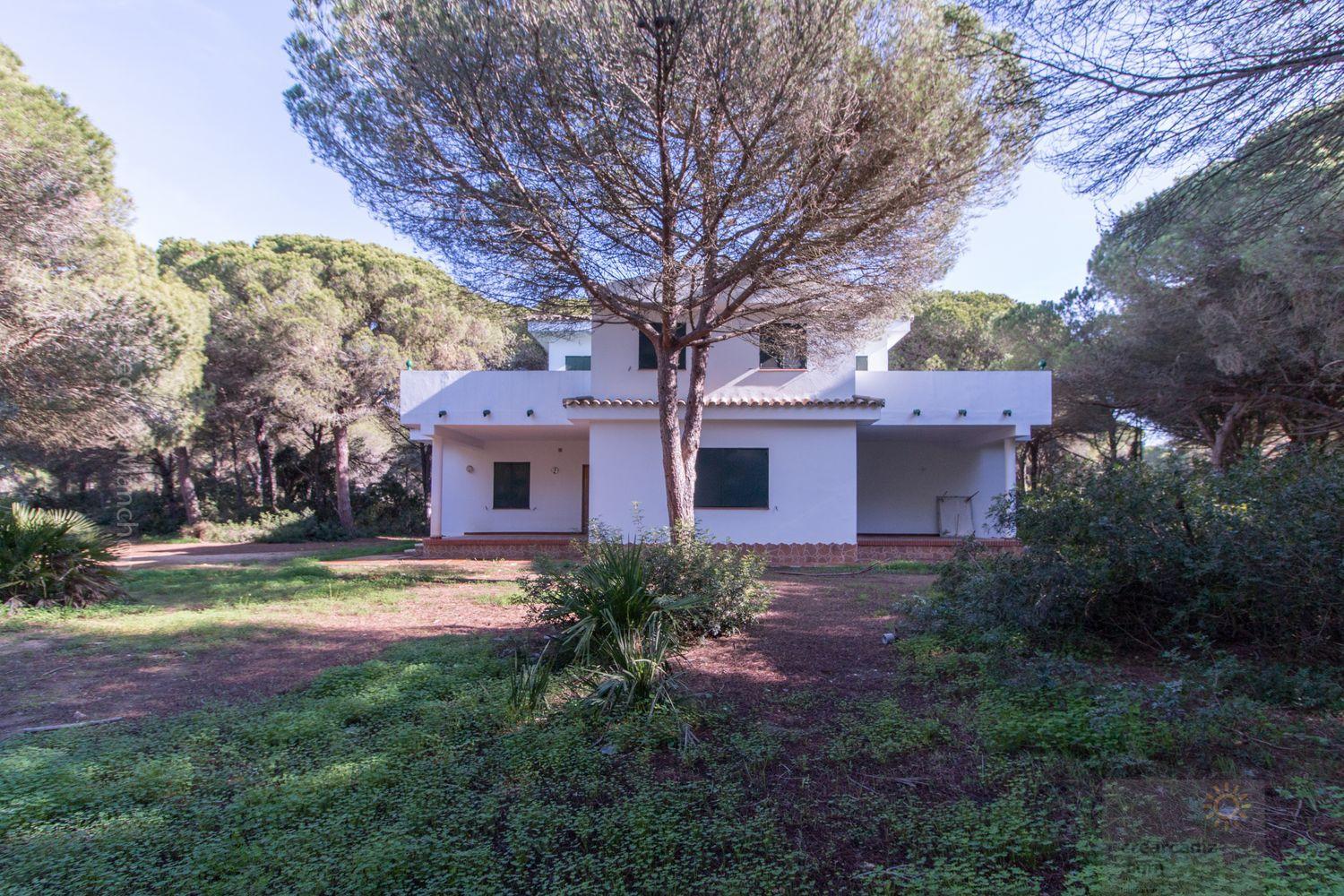 Venta de chalet en Conil