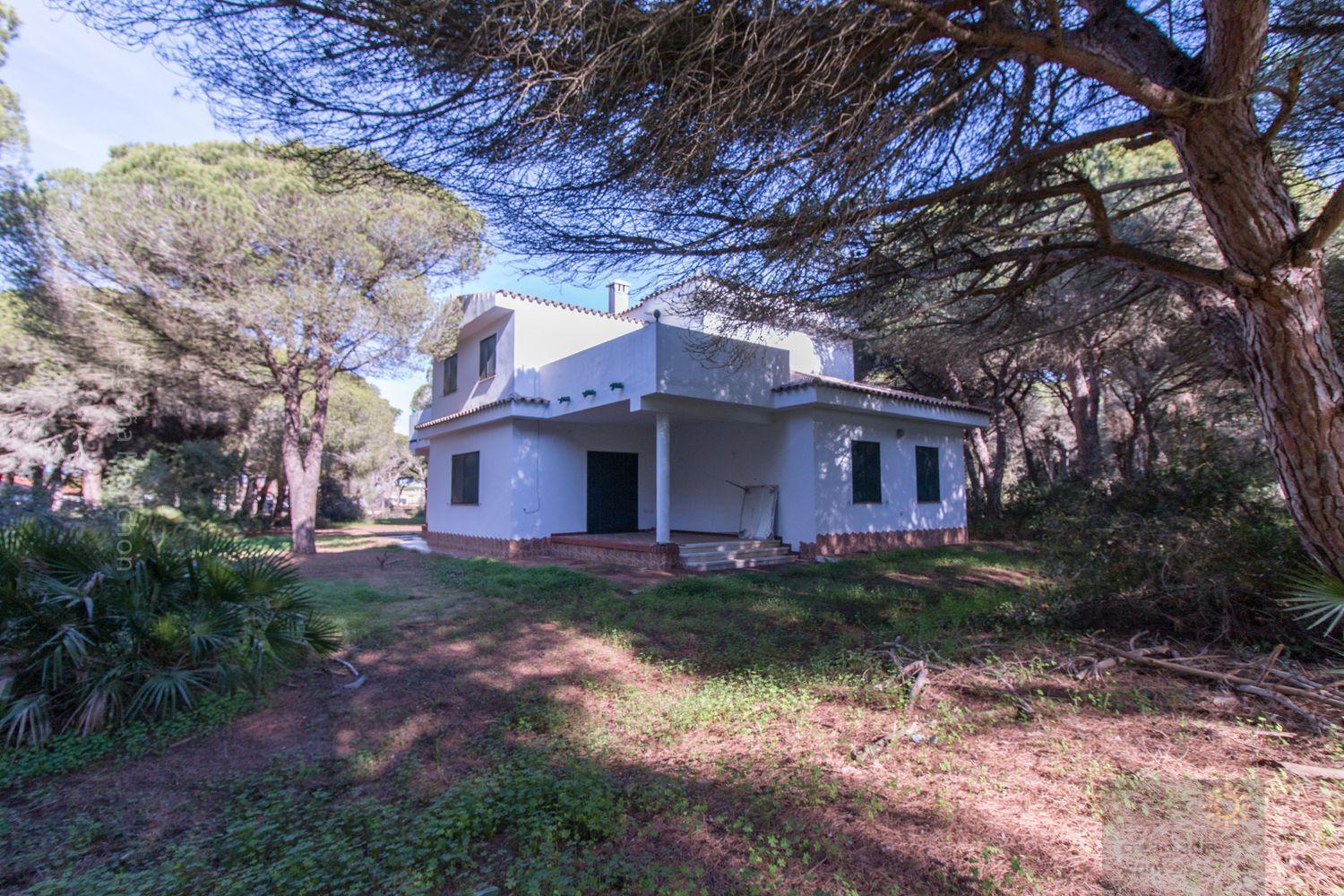 For sale of chalet in Conil