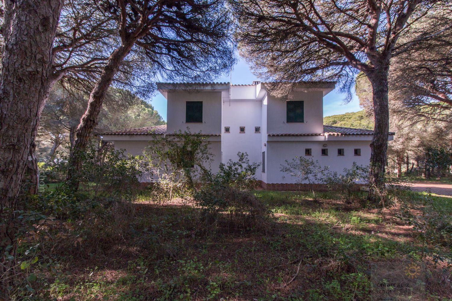 For sale of chalet in Conil