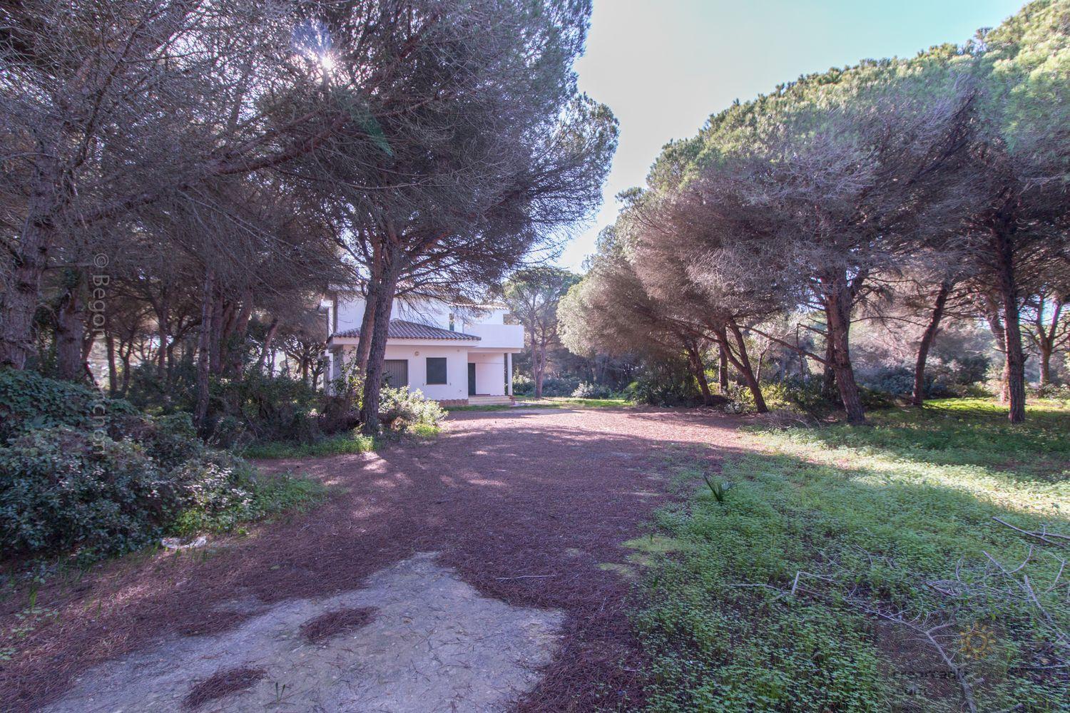 For sale of chalet in Conil