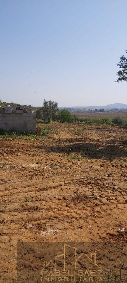For sale of rural property in La Garrovilla