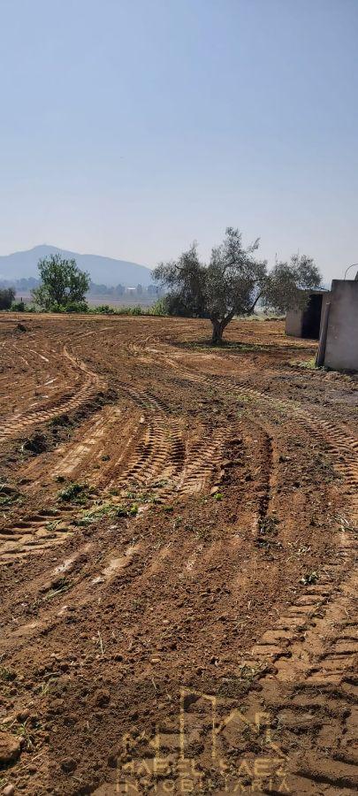 Venta de finca rústica en La Garrovilla