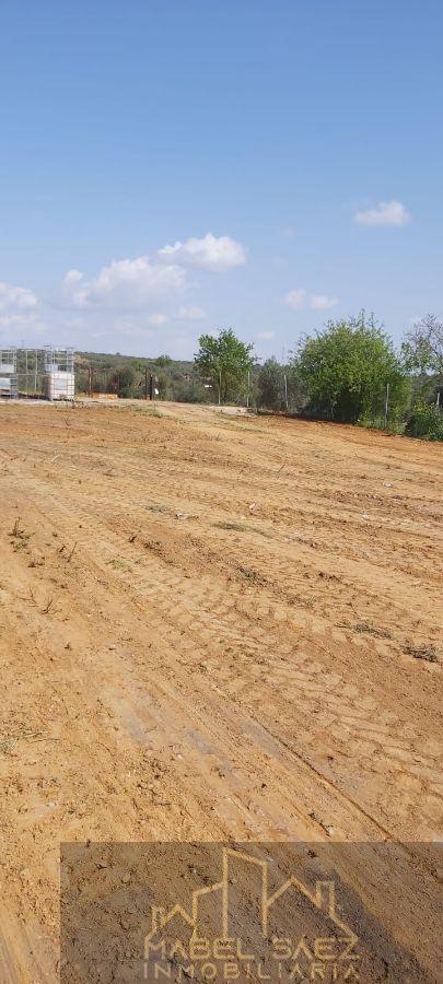 Venta de finca rústica en La Garrovilla